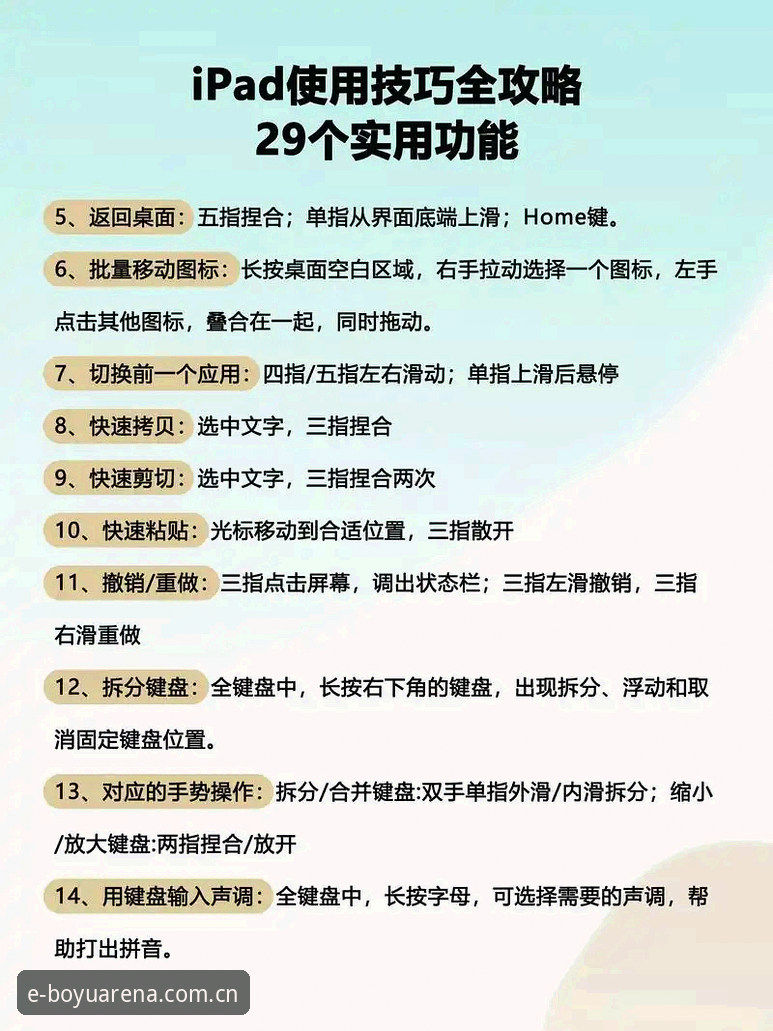 博鱼体育官网电脑版使用指南：从新手到高手的完整攻略