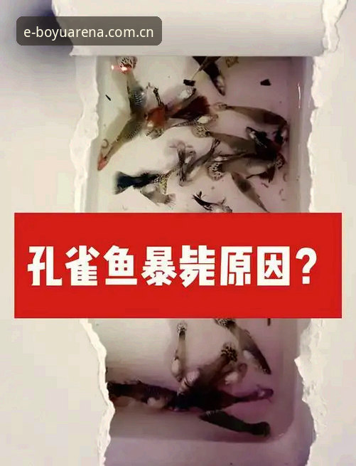 4个关键步骤：博鱼下载电脑版让你畅享竞技新体验
